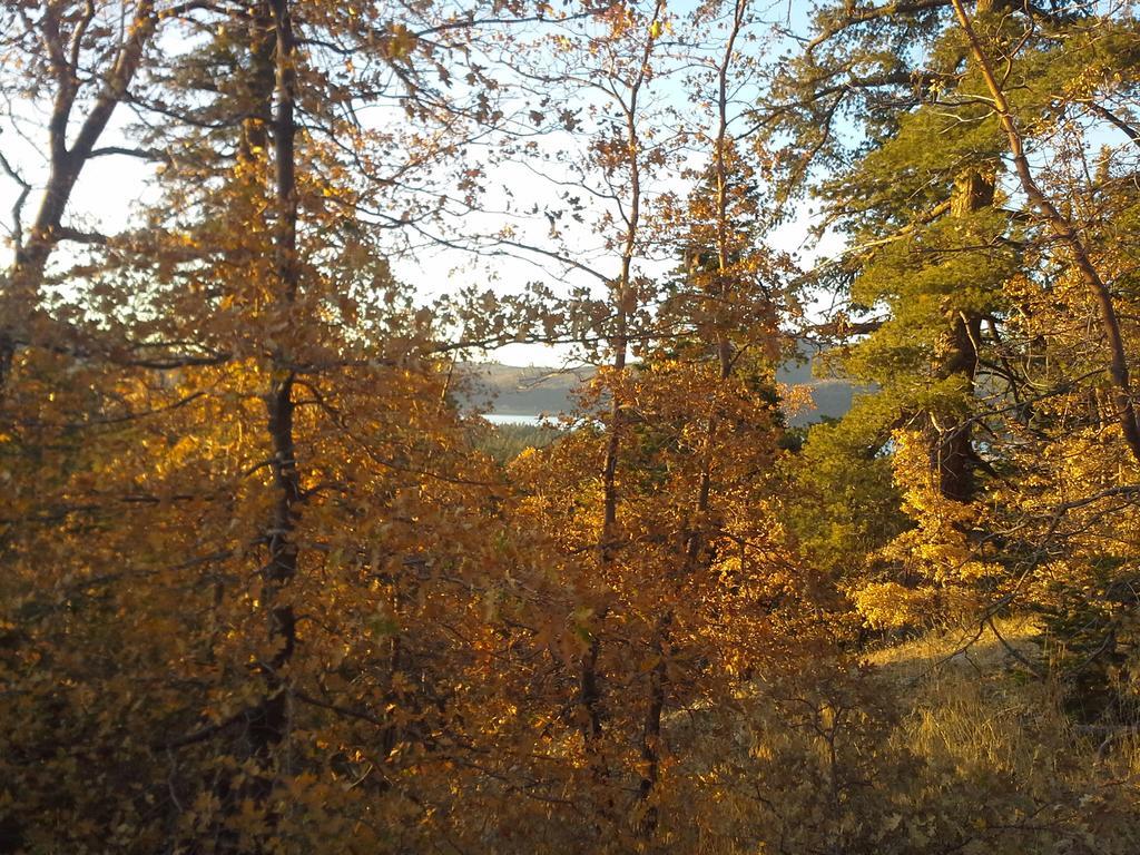 Hotel Hillcrest Lac Big Bear